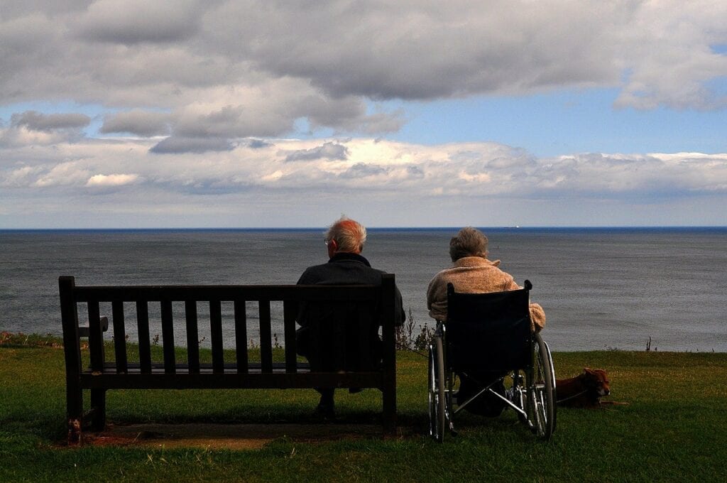 Partner vs Caregiver